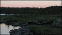 Bifogad bild: norge2010augusti196.jpg
